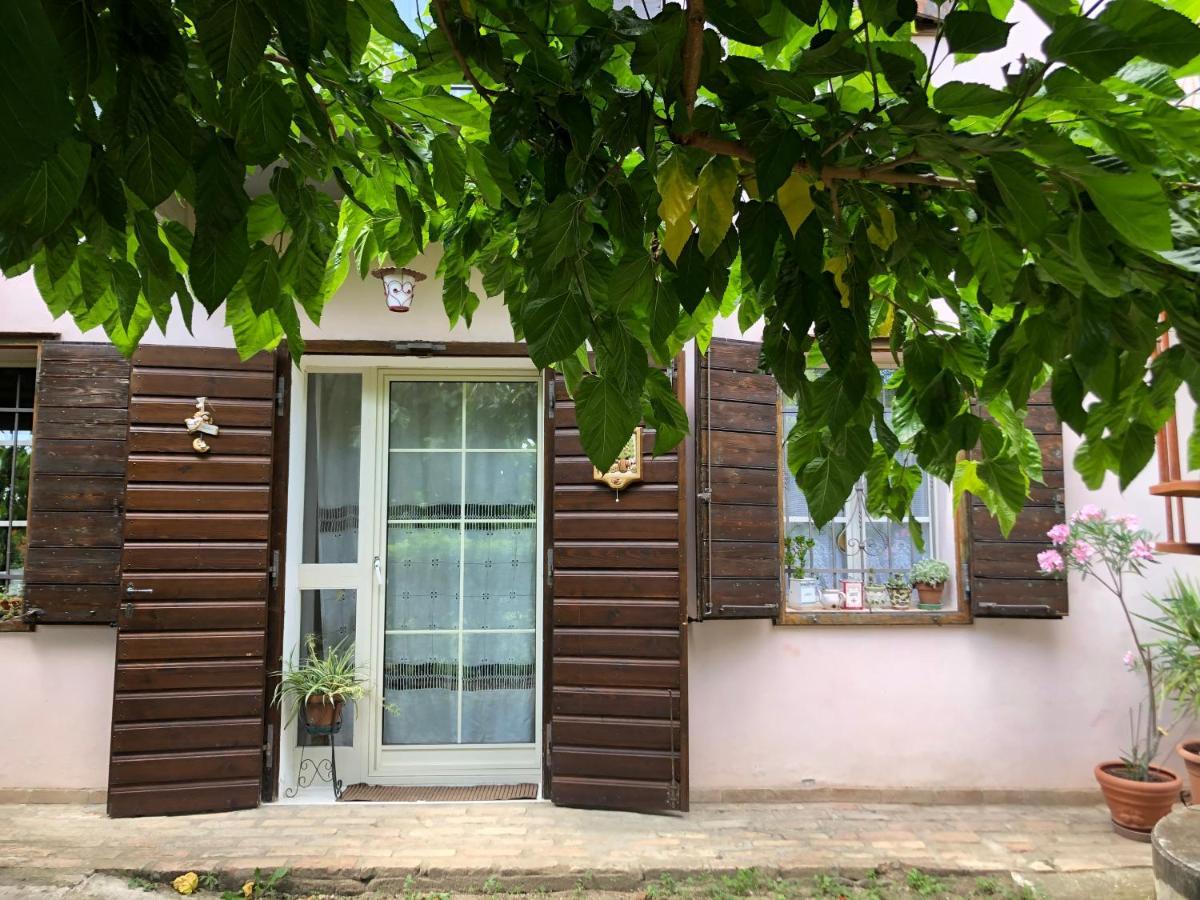 La Casa Nel Bosco Bed and Breakfast Gorizia Exteriör bild